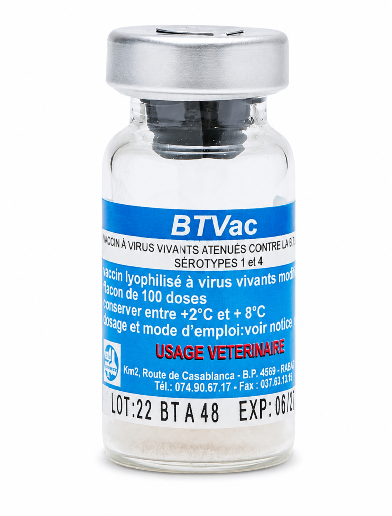 Vaccin contre la Blue Tongue Sérotype 1+4 BTVAC 1-4