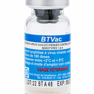 Vaccin contre la Blue Tongue Sérotype 1+4 BTVAC 1-4